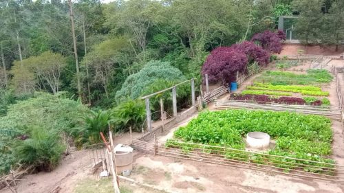 WhatsApp-Image-2025-07-21-at-20.03.38-1