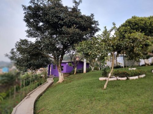 WhatsApp-Image-2025-07-21-at-20.07.04-3